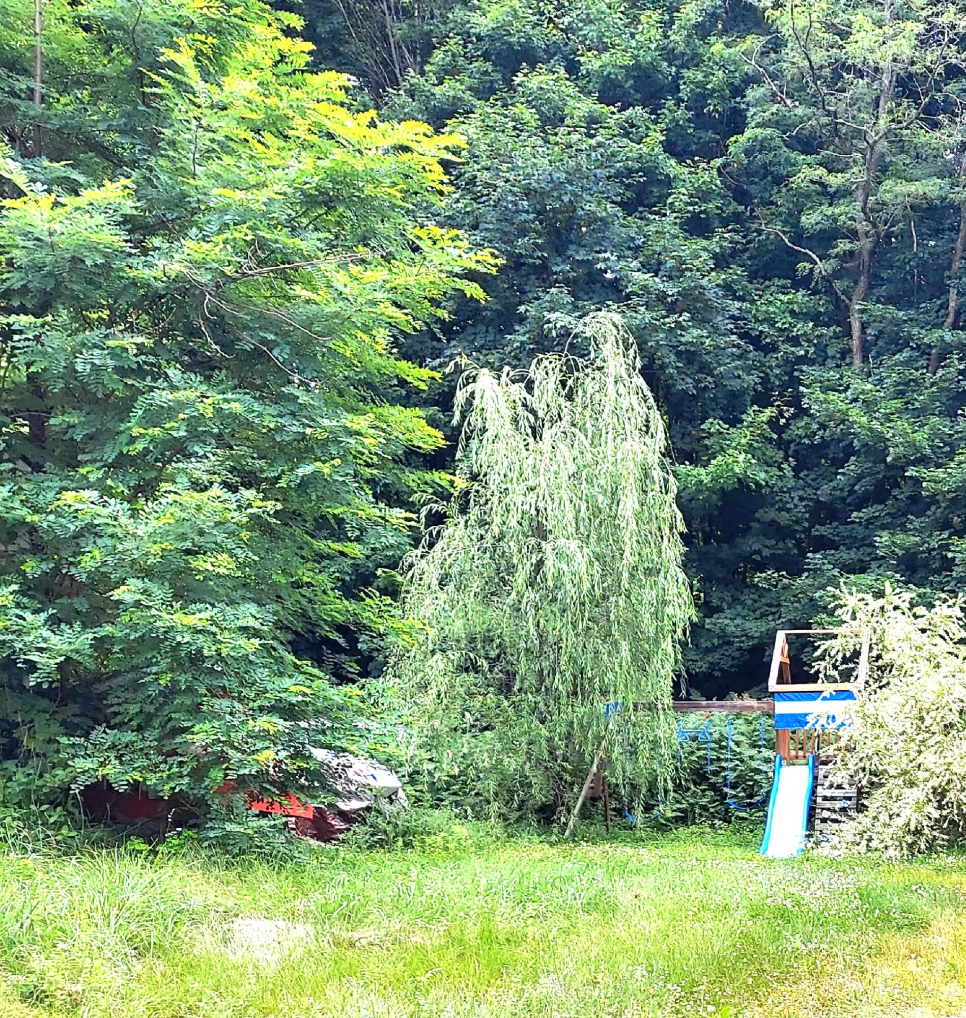 123 Town Farm Road Farmington ME 04938