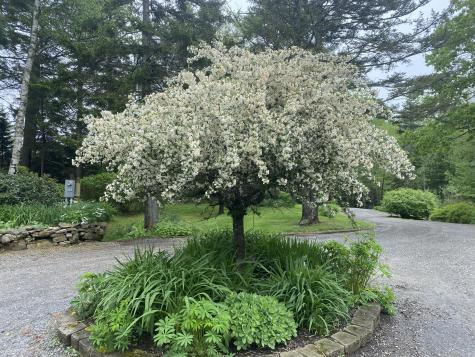 33 + 30 Taylor Road Westport Island ME 04578