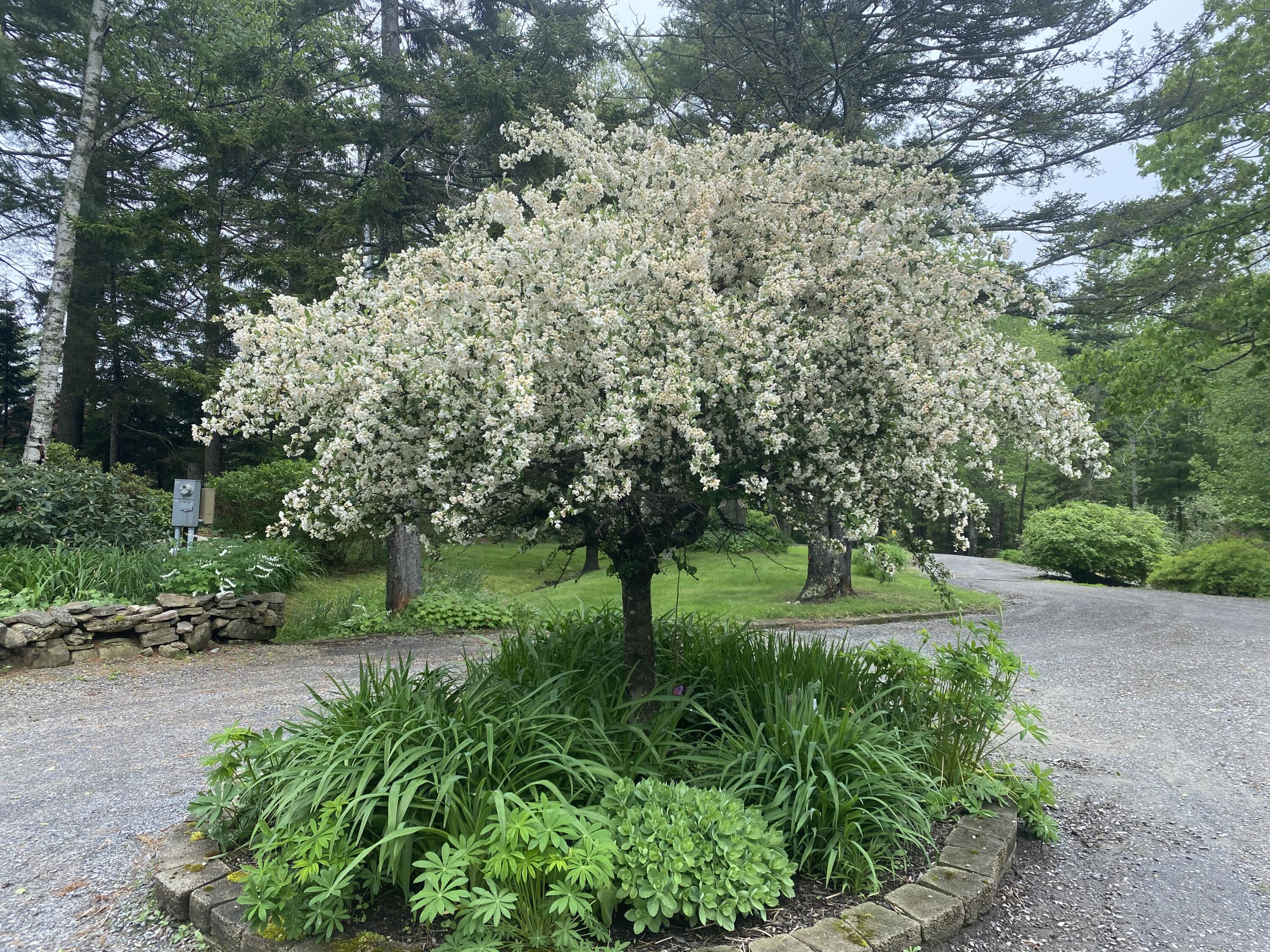 33 + 30 Taylor Road Westport Island ME 04578