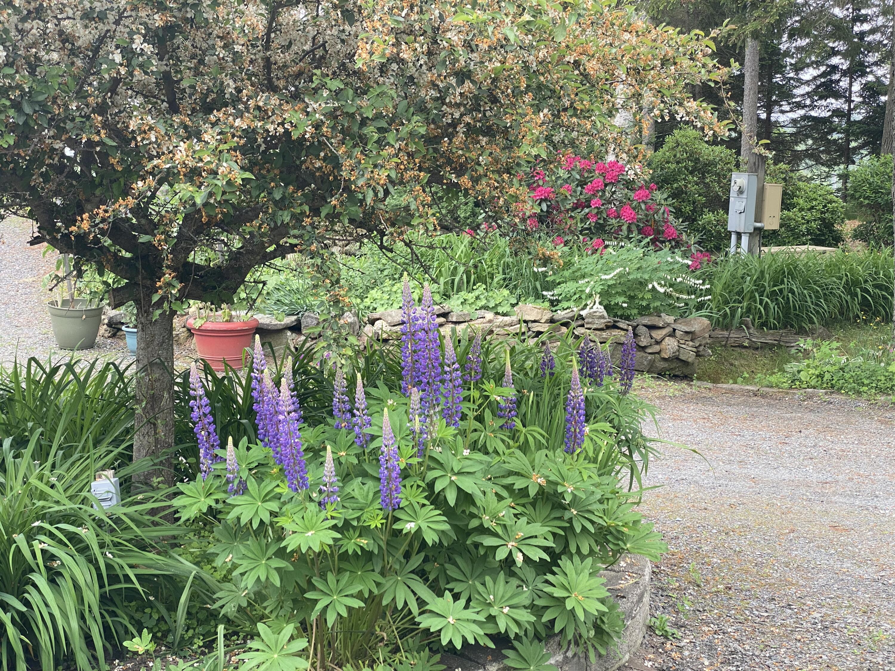 33 + 30 Taylor Road Westport Island ME 04578