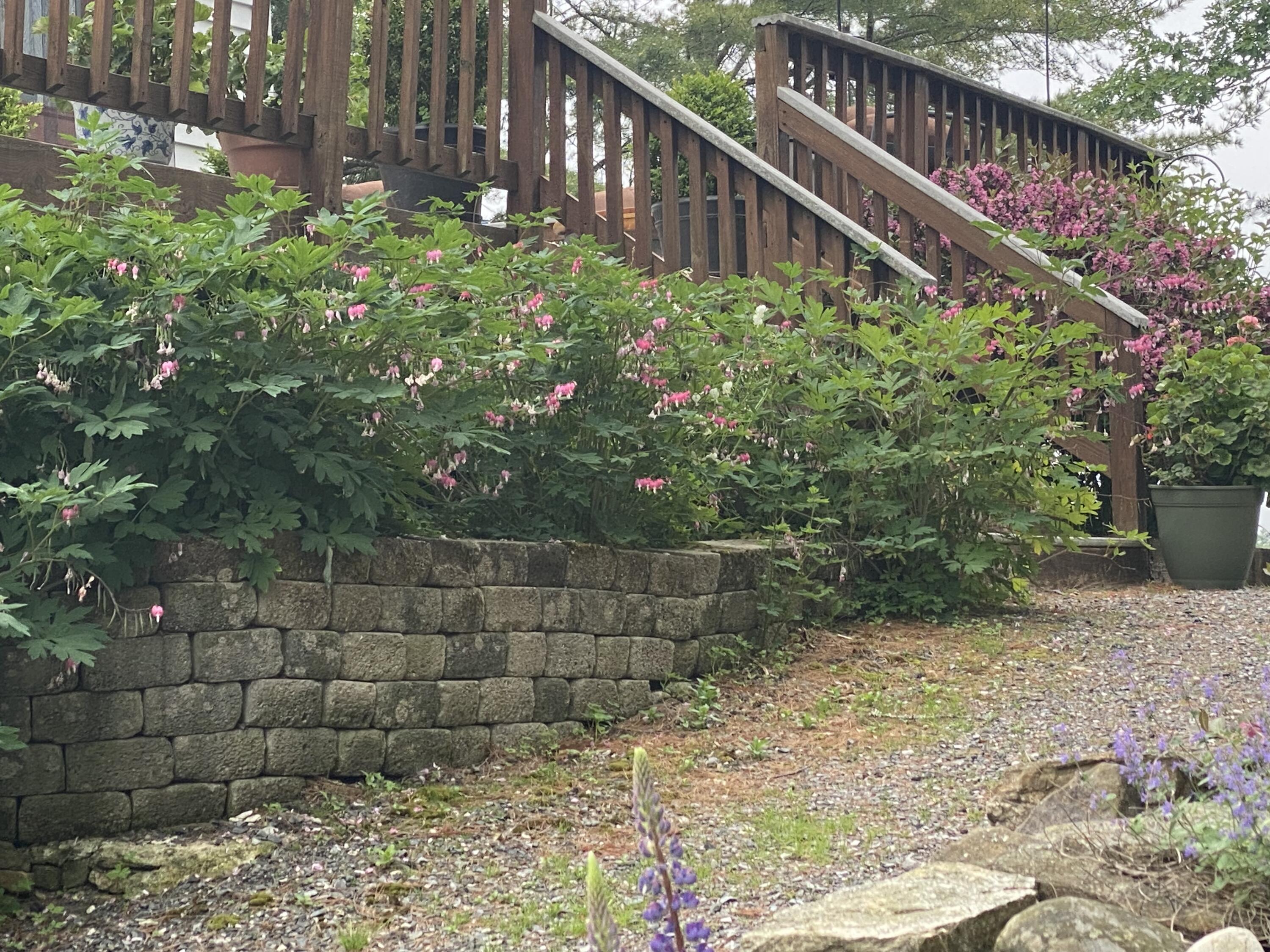 33 + 30 Taylor Road Westport Island ME 04578