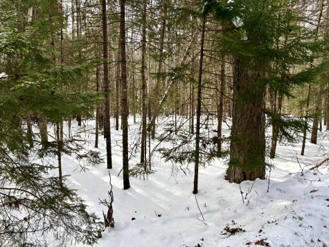 479 U.s. 1 Robbinston ME 04671