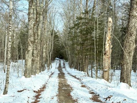 479 U.s. 1 Robbinston ME 04671