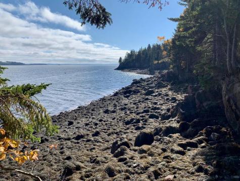 479 U.s. 1 Robbinston ME 04671