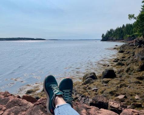 479 U.s. 1 Robbinston ME 04671