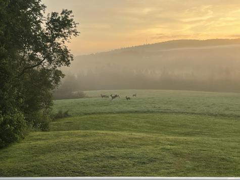 12 Mount View Lane Bucksport ME 04416