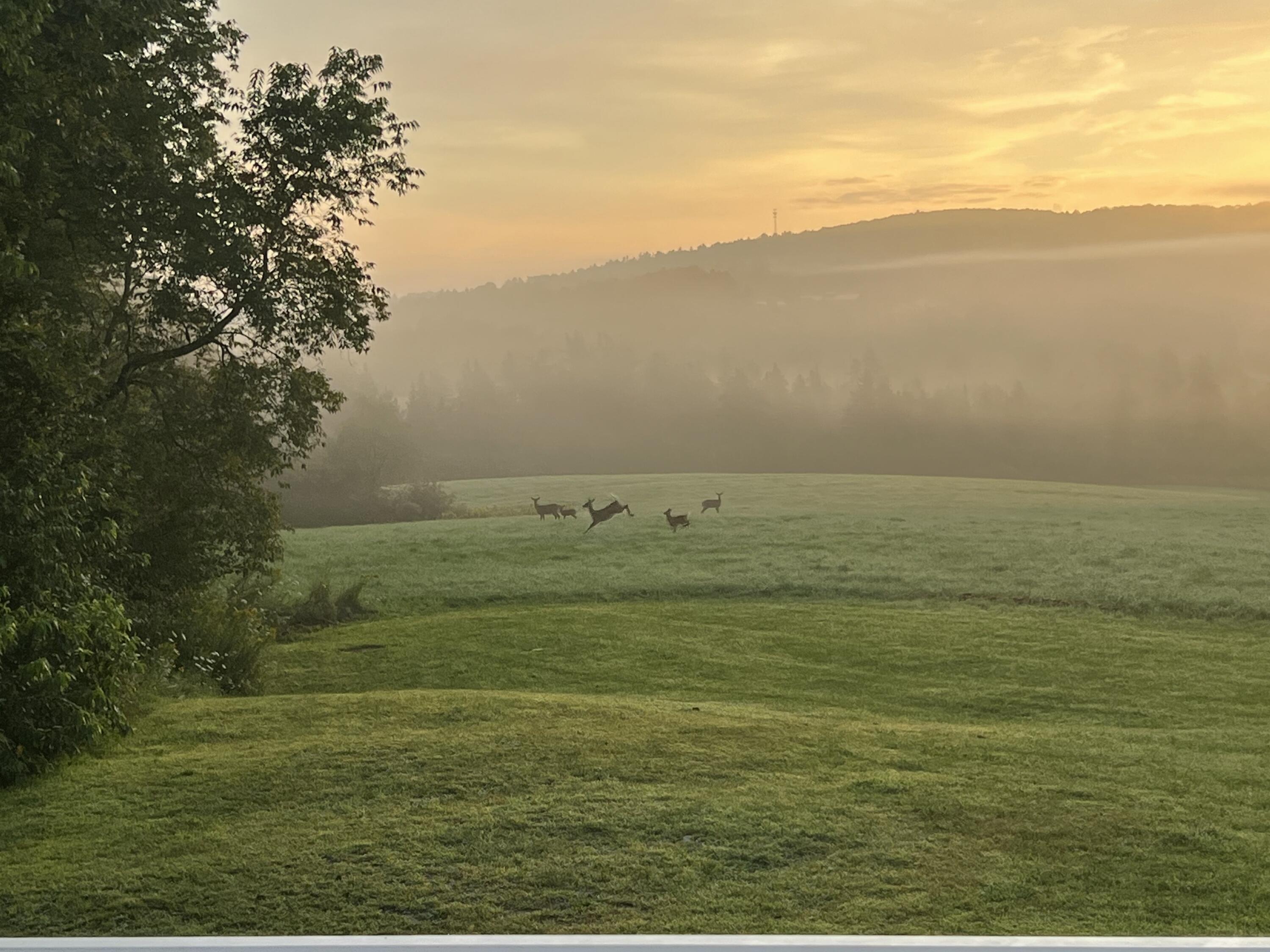 12 Mount View Lane Bucksport ME 04416