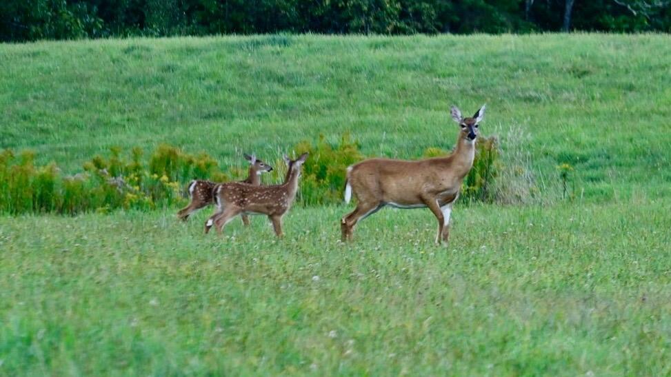 12 Mount View Lane Bucksport ME 04416