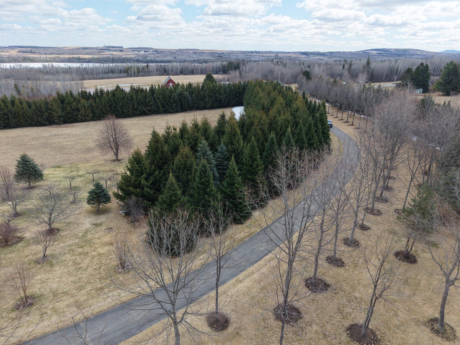 55 Niles Road Presque Isle ME 04769