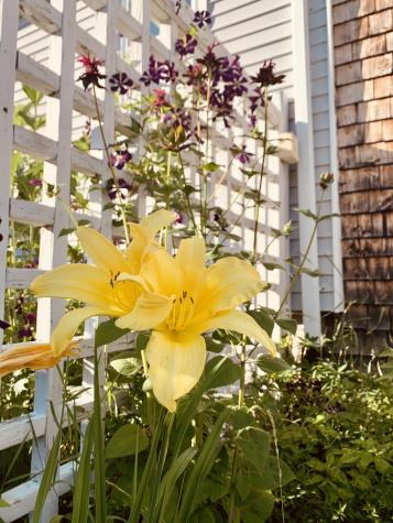 75 Roy Avenue Auburn ME 04210
