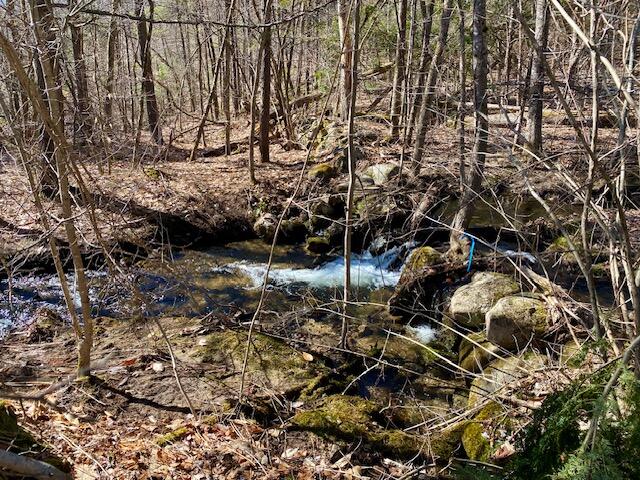 178 Maplecrest Road Parsonsfield ME 04047