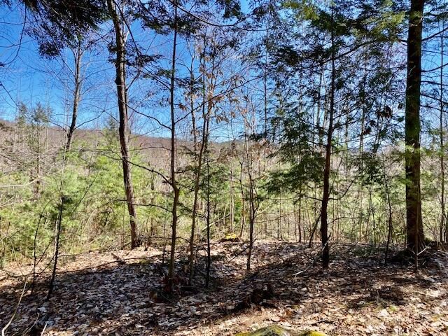 178 Maplecrest Road Parsonsfield ME 04047