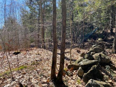 178 Maplecrest Road Parsonsfield ME 04047