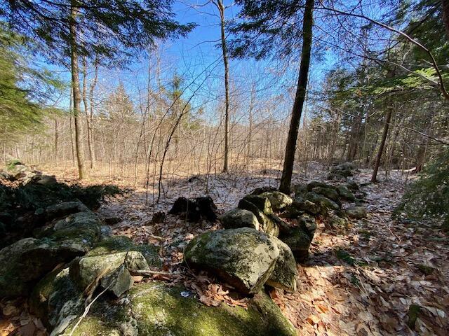 178 Maplecrest Road Parsonsfield ME 04047