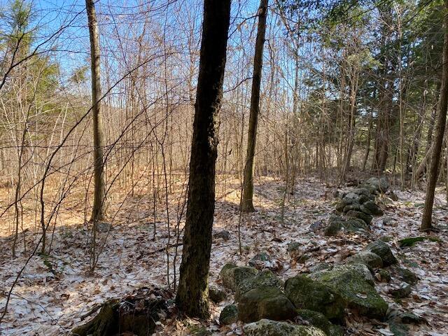 178 Maplecrest Road Parsonsfield ME 04047