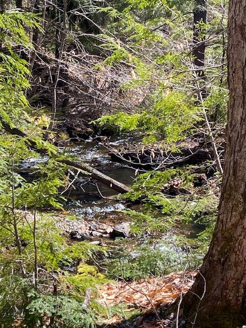 178 Maplecrest Road Parsonsfield ME 04047