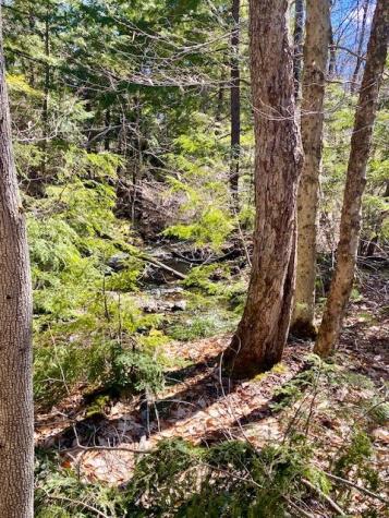 178 Maplecrest Road Parsonsfield ME 04047