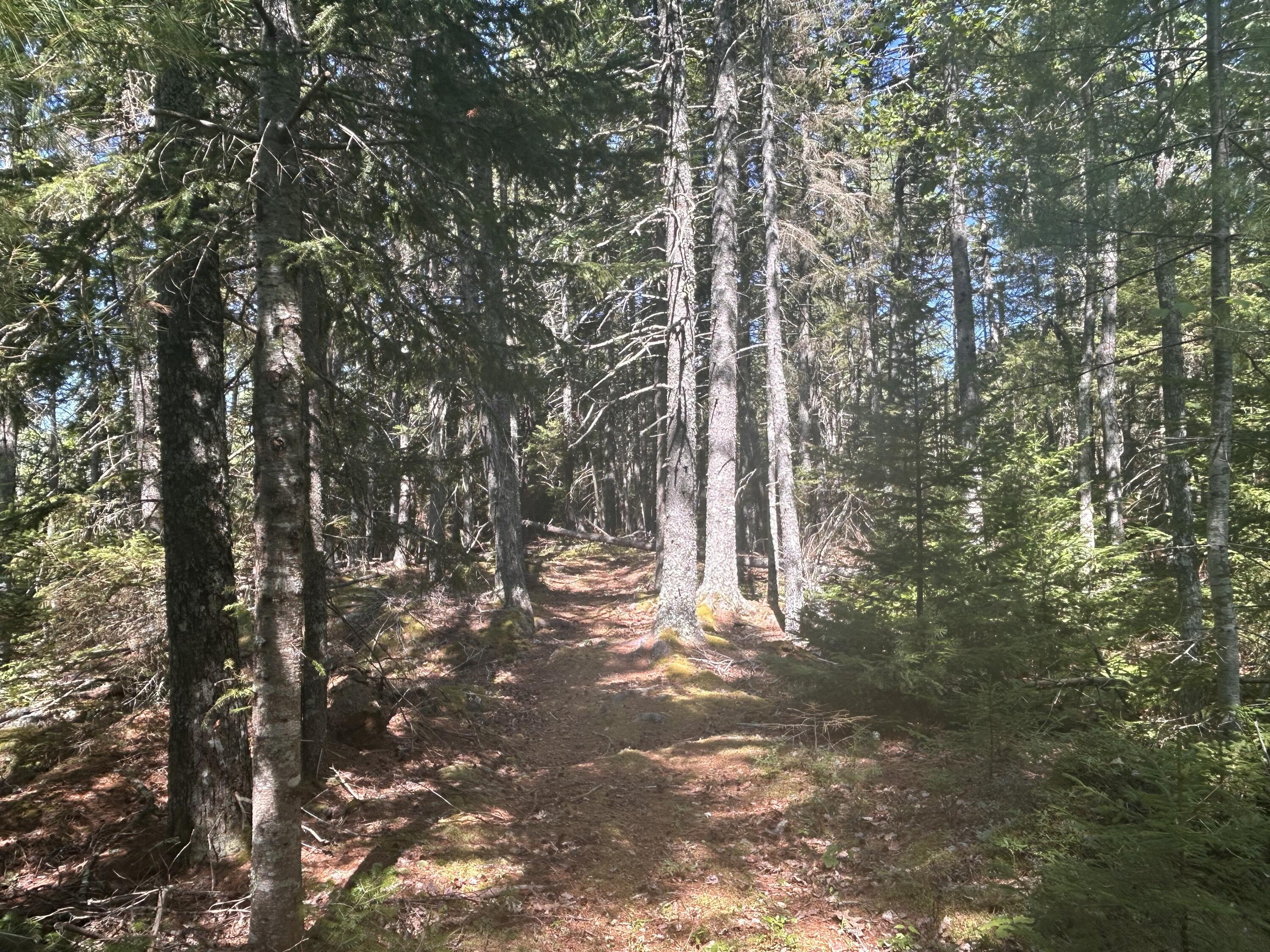 1150 U.s. Route 1 Gouldsboro ME 04607