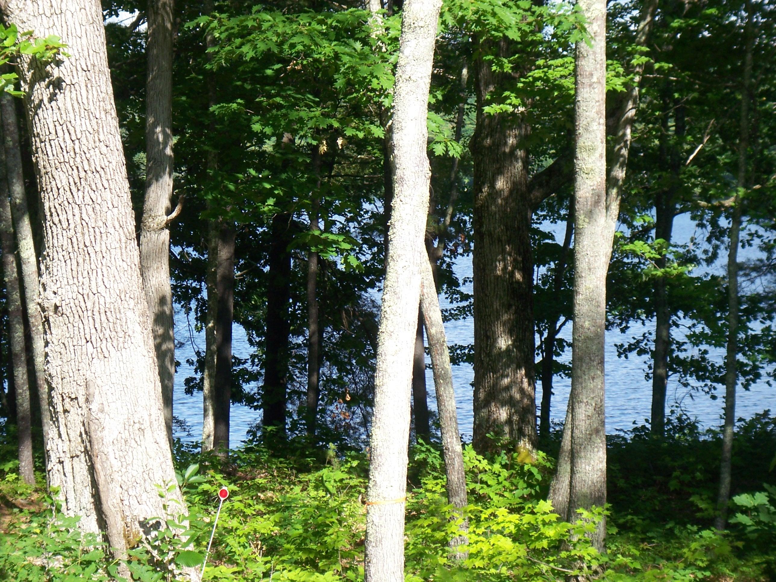 159 Watson Road Poland ME 04274