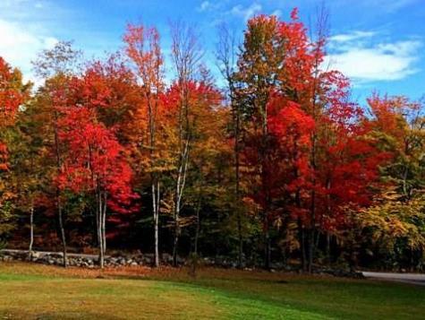 99 Prospect Street Wilton ME 04294