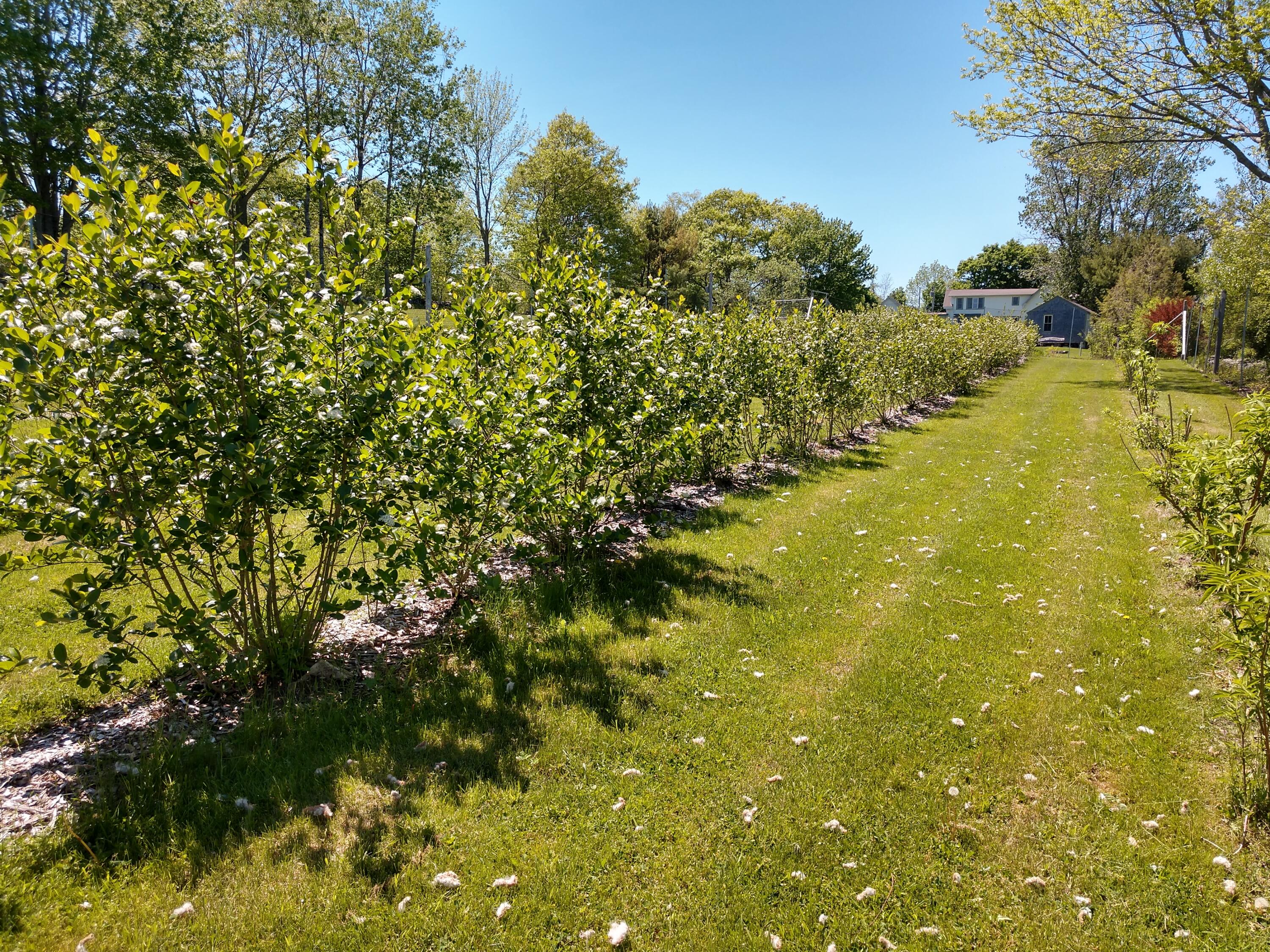 902 Dutch Neck Road Waldoboro ME 04572