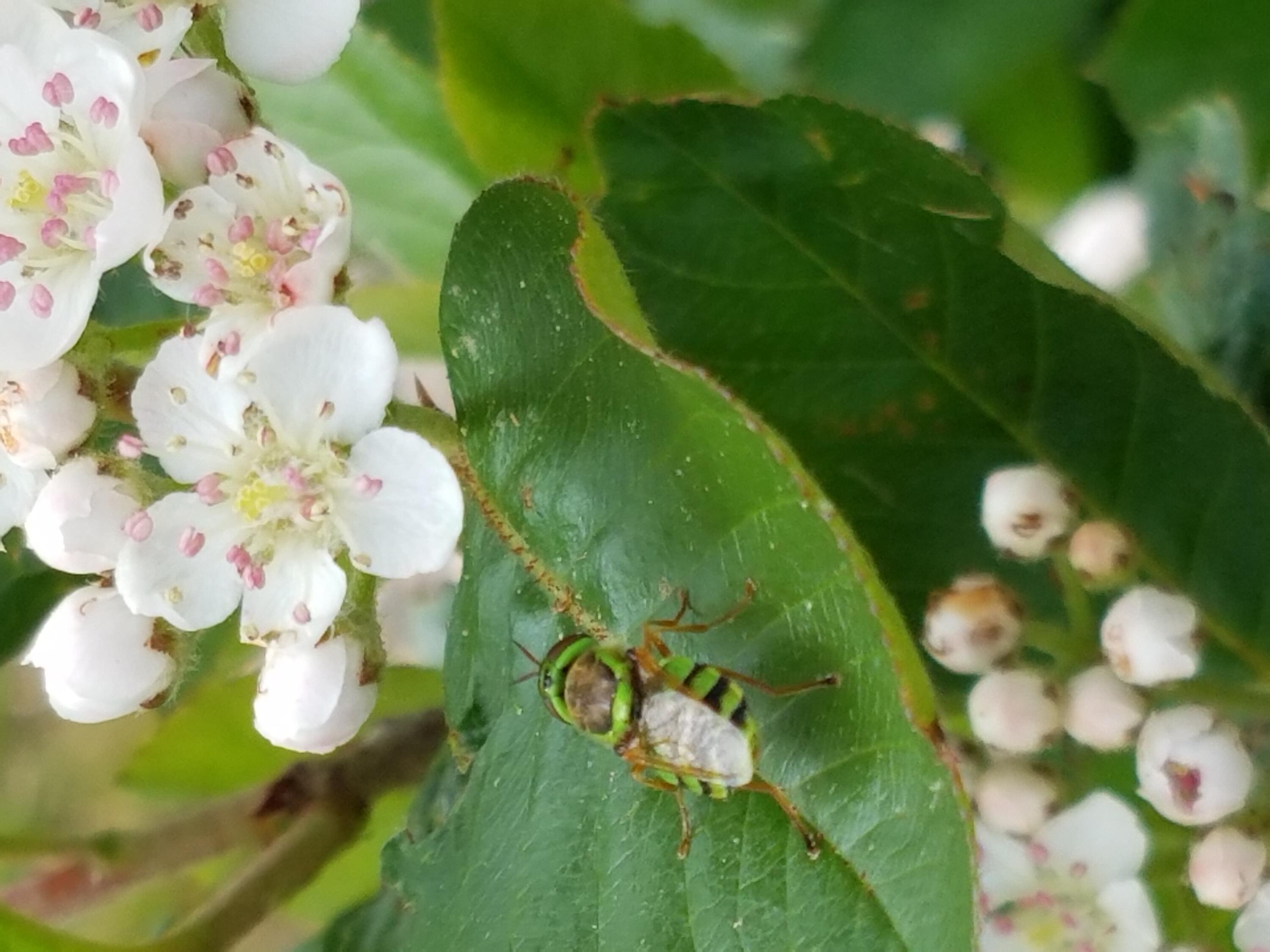 902 Dutch Neck Road Waldoboro ME 04572