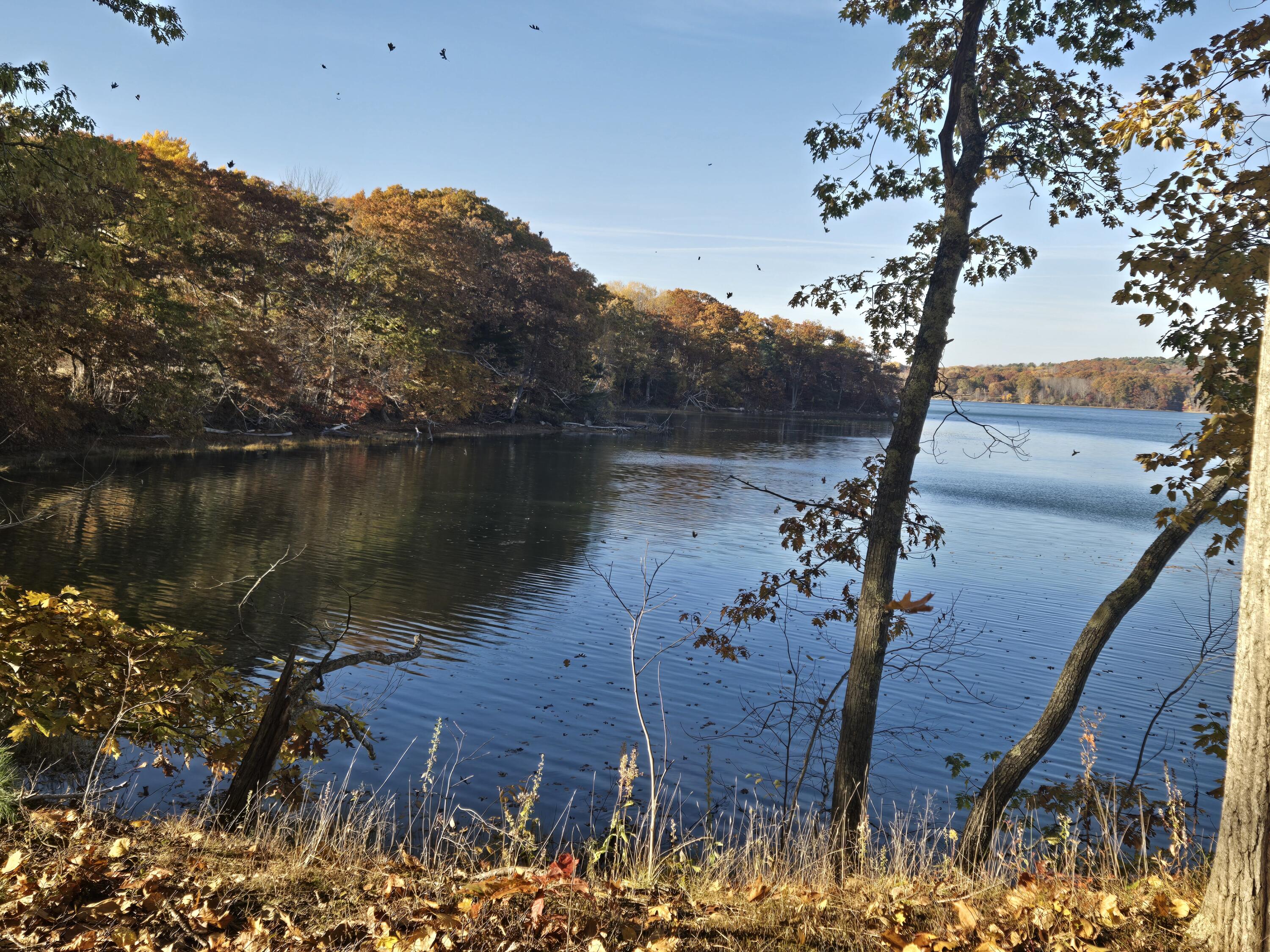 902 Dutch Neck Road Waldoboro ME 04572