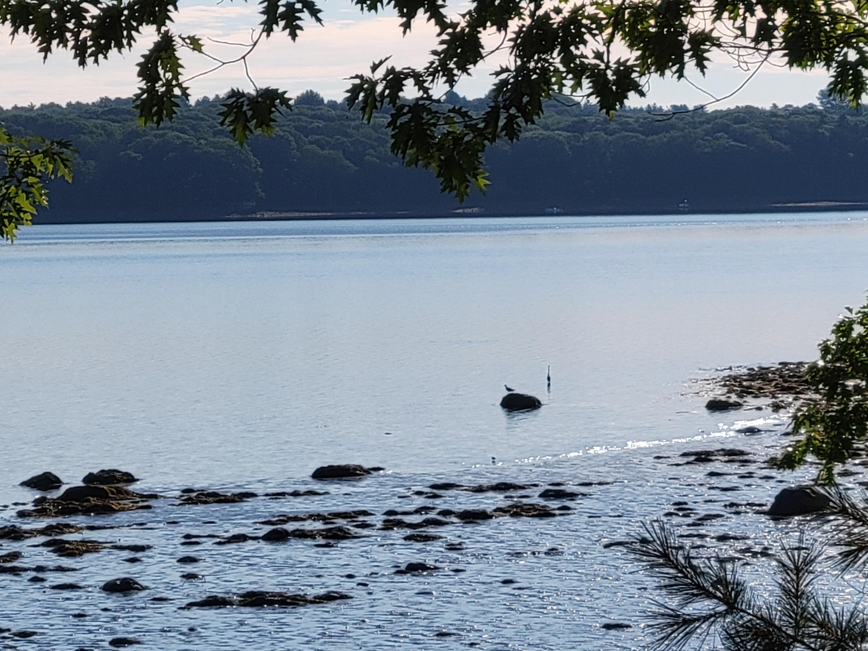 902 Dutch Neck Road Waldoboro ME 04572