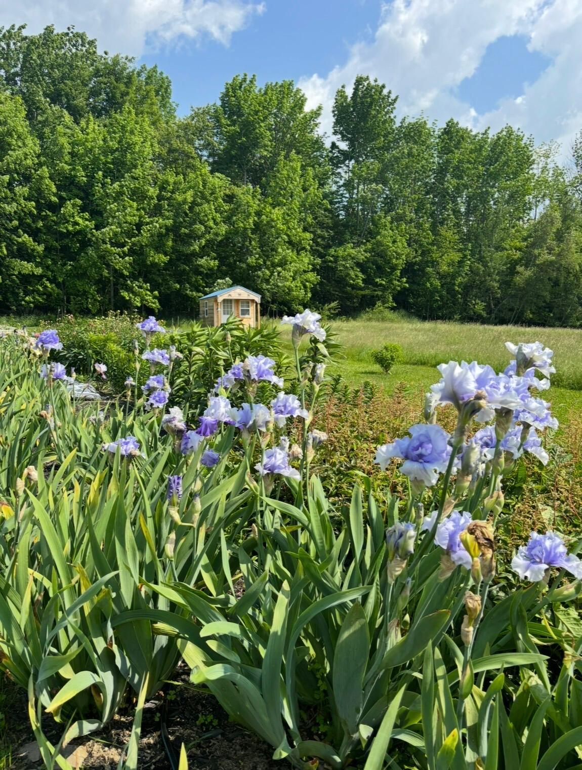 68 Pullen Road Dexter ME 04930