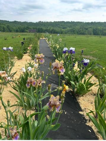 68 Pullen Road Dexter ME 04930