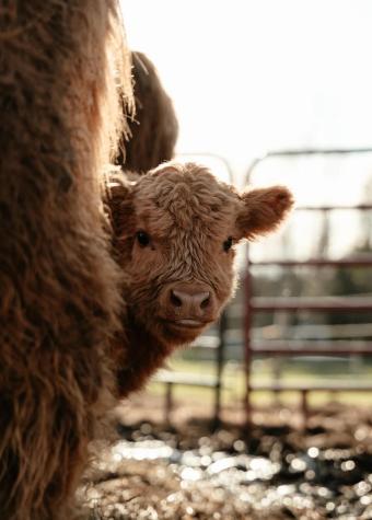 68 Pullen Road Dexter ME 04930