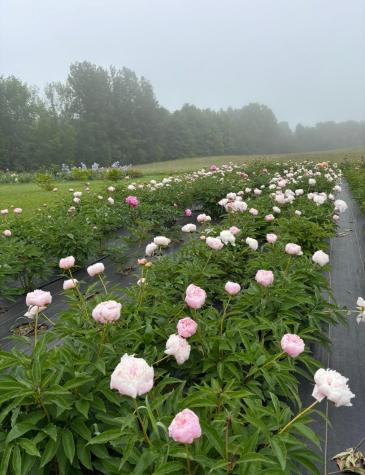 68 Pullen Road Dexter ME 04930