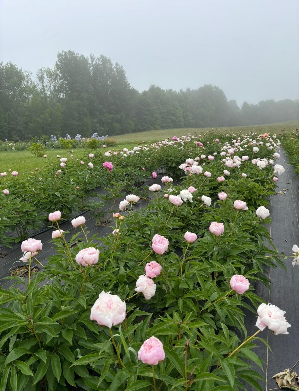 68 Pullen Road Dexter ME 04930