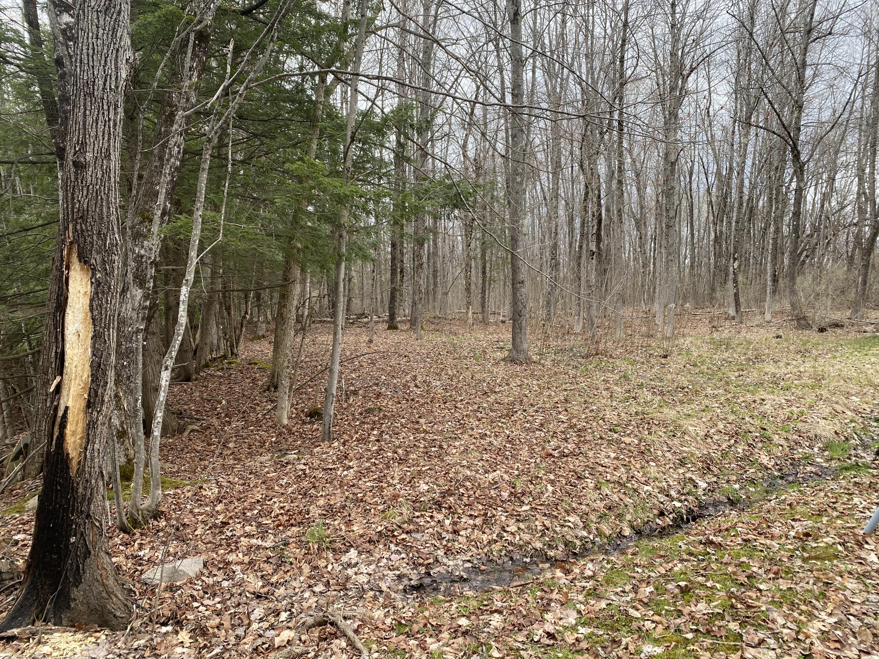 312 Ridge Road Fairfield ME 04937