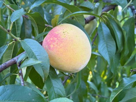 13 Bar Mills Road Hollis ME 04042