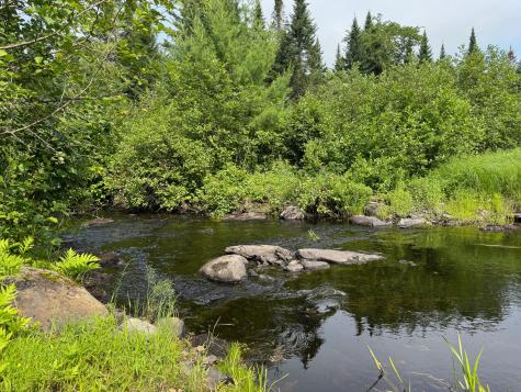 Lot 38.1 Chipper Road Kingman Twp ME 04451