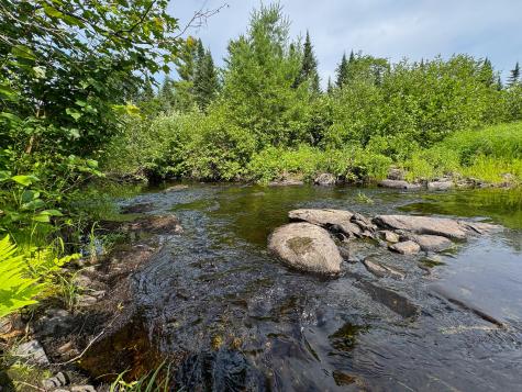 Lot 38.1 Chipper Road Kingman Twp ME 04451