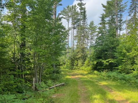 Lot 38.1 Chipper Road Kingman Twp ME 04451