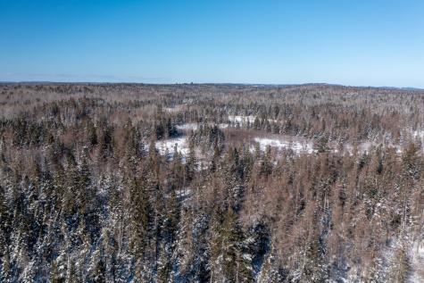 16 Dairy Lane Pembroke ME 04666