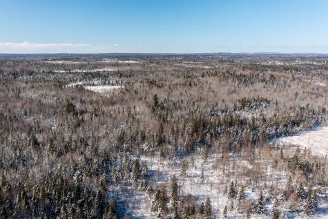 16 Dairy Lane Pembroke ME 04666