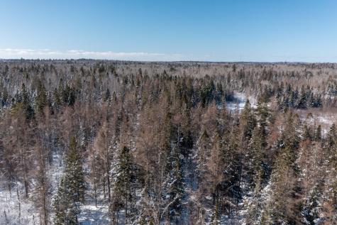 16 Dairy Lane Pembroke ME 04666