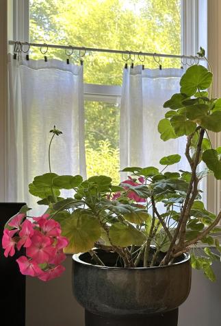 37 Adams Street Eastport ME 04631