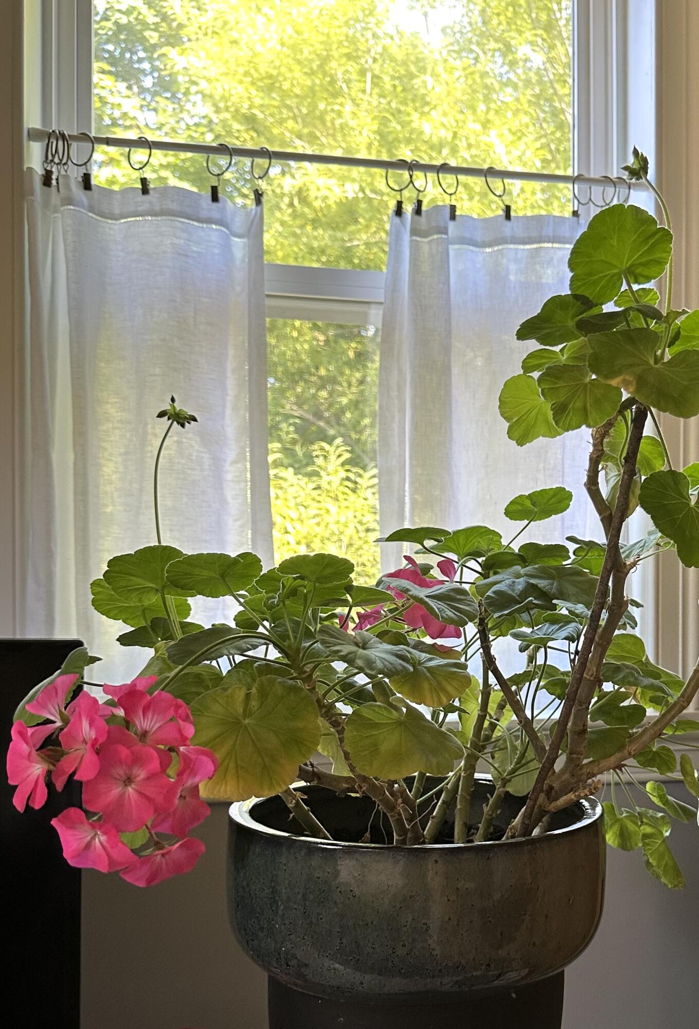 37 Adams Street Eastport ME 04631