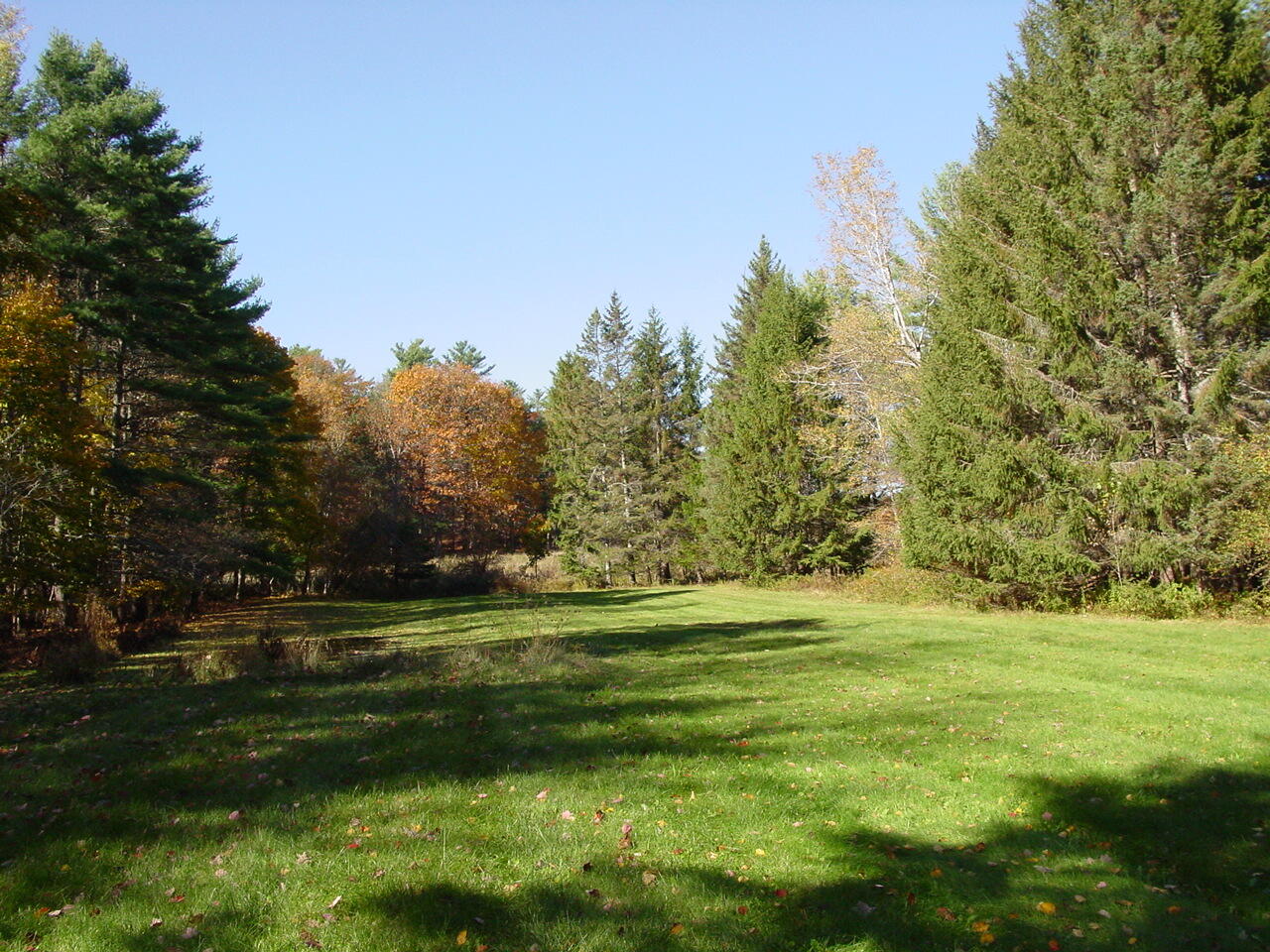 369 Main Street Orono ME 04473