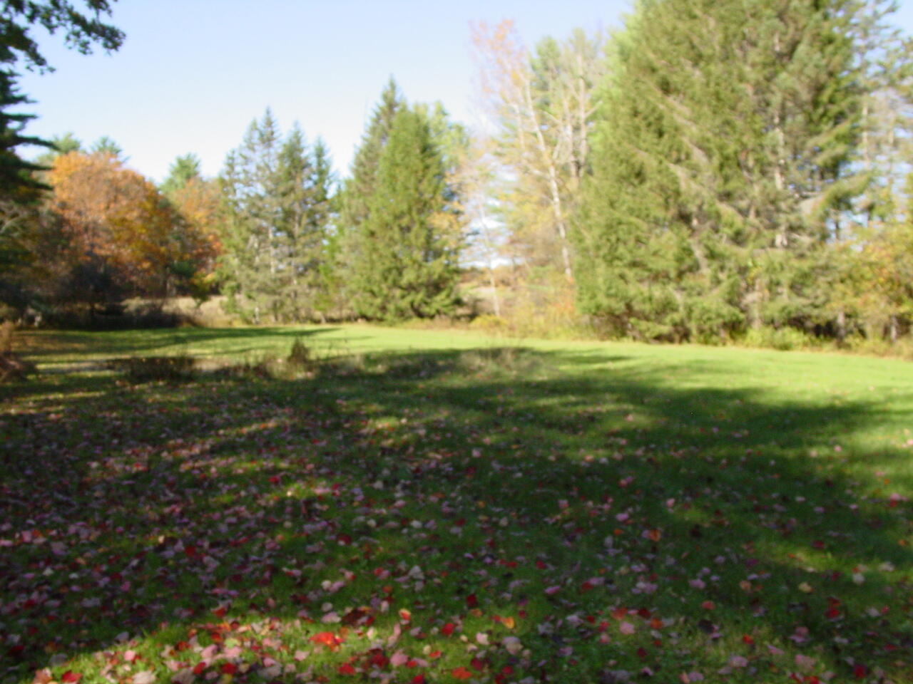369 Main Street Orono ME 04473