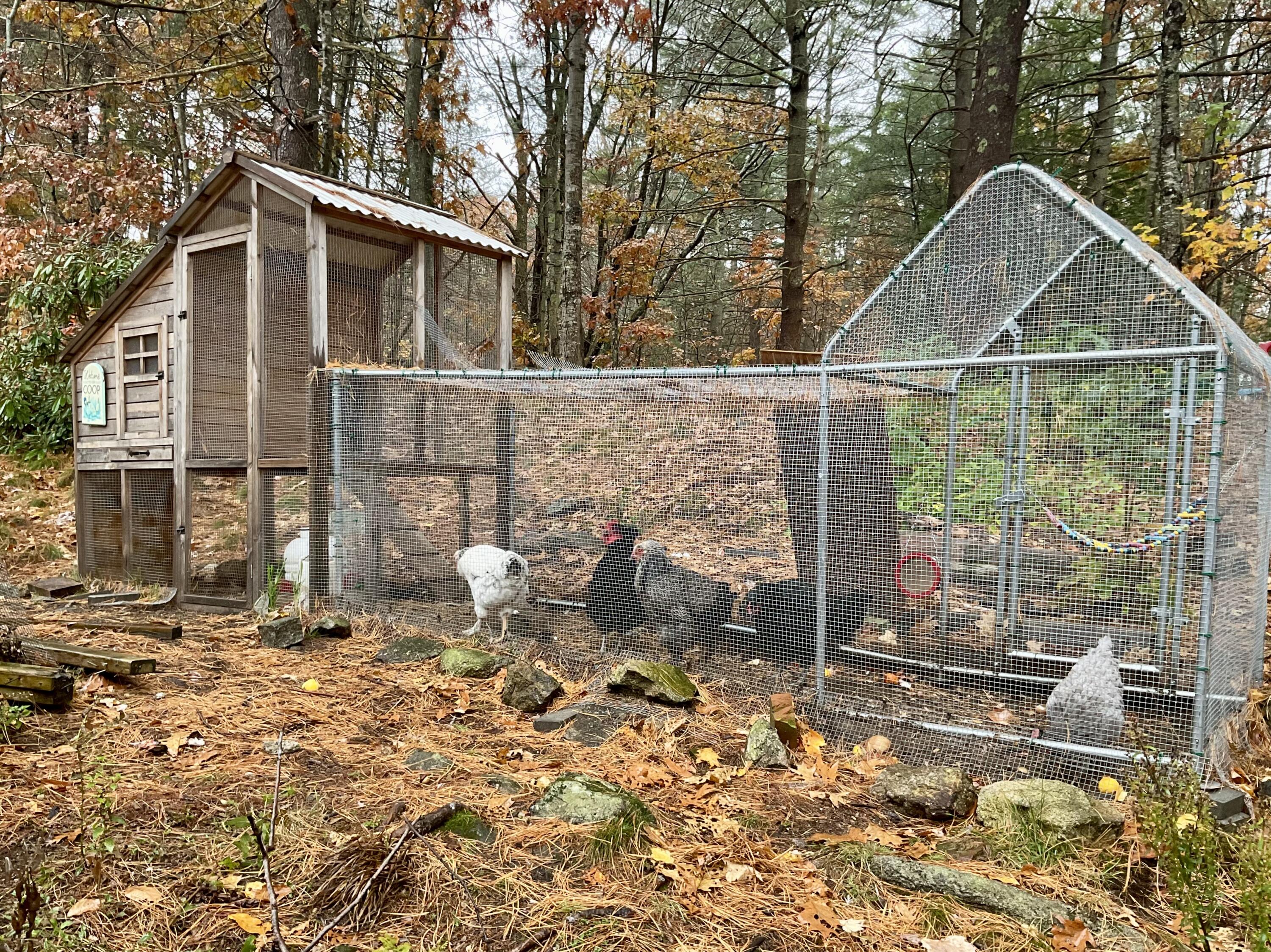 5 Federal Street Bath ME 04530