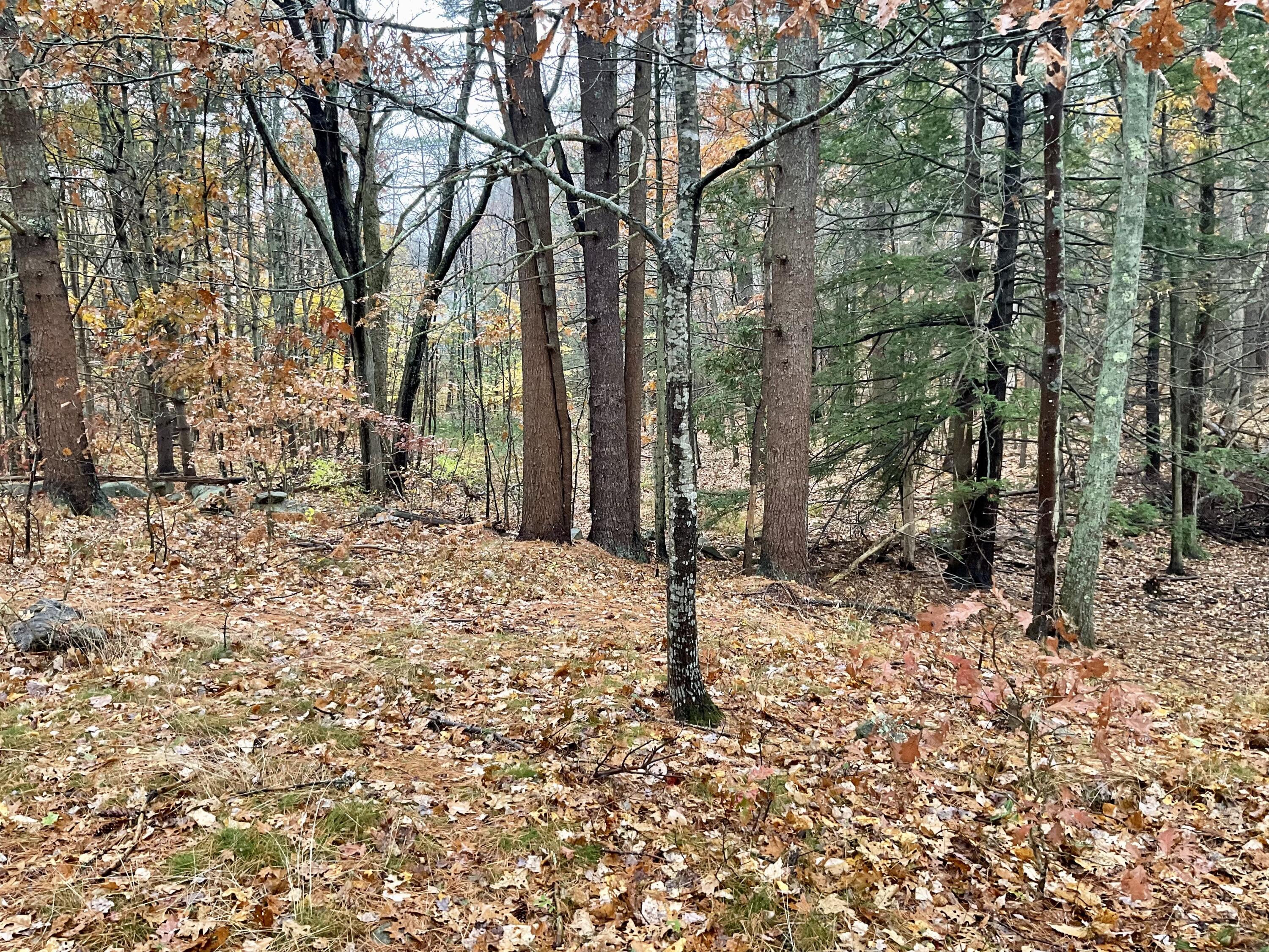 5 Federal Street Bath ME 04530