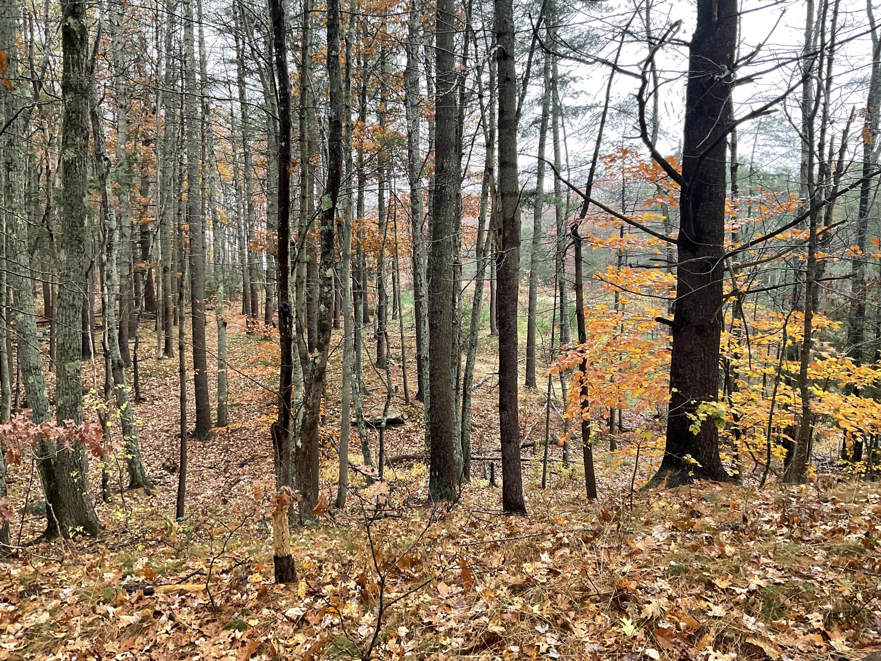 5 Federal Street Bath ME 04530