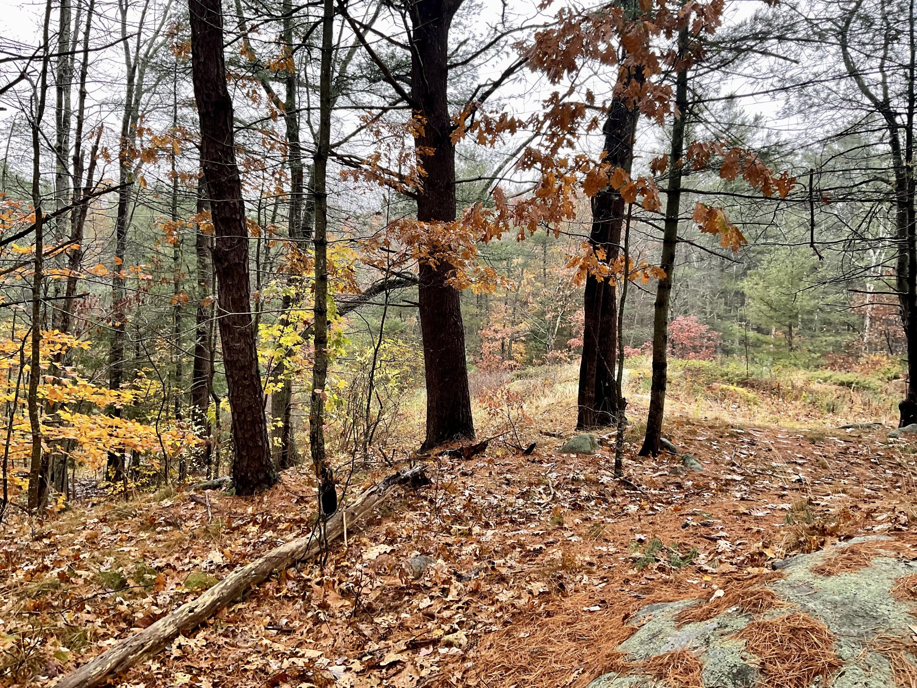 5 Federal Street Bath ME 04530