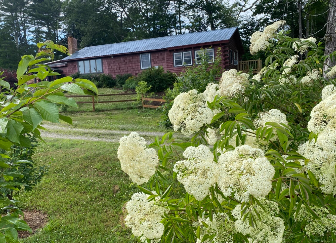 247 Wiley Road Naples ME 04055